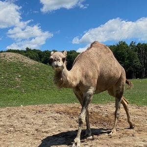 Meet your Posher, Bahiya